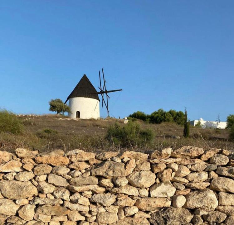 Cortijo Los Garridos - 8 Huespedes Fernan Perez Eksteriør billede