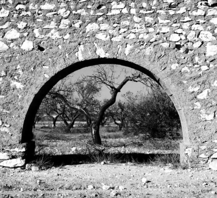Cortijo Los Garridos - 8 Huespedes Fernan Perez Eksteriør billede